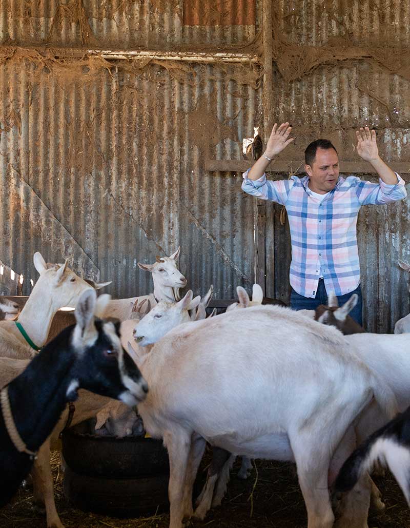 goaty